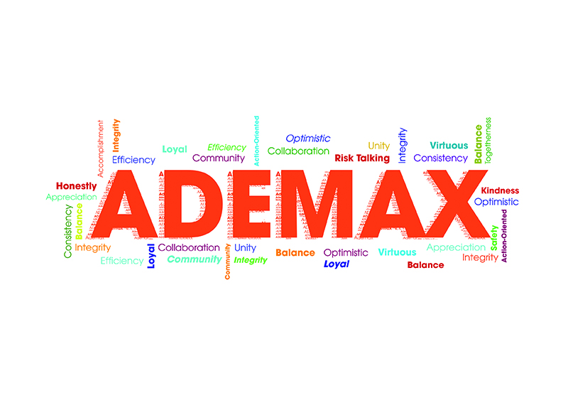 Khách hàng tiêu biểu của ADEMAX